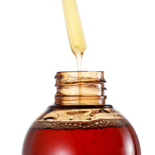 Load image into Gallery viewer, Camellia Dish Soap - etalink
